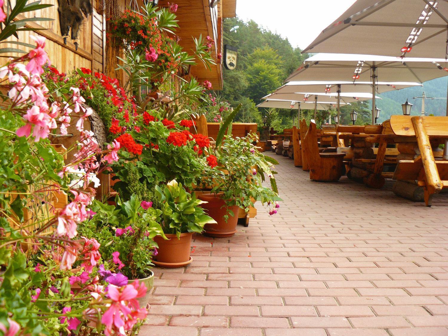 Pension Curmatura Stezii Rasinari Exterior photo