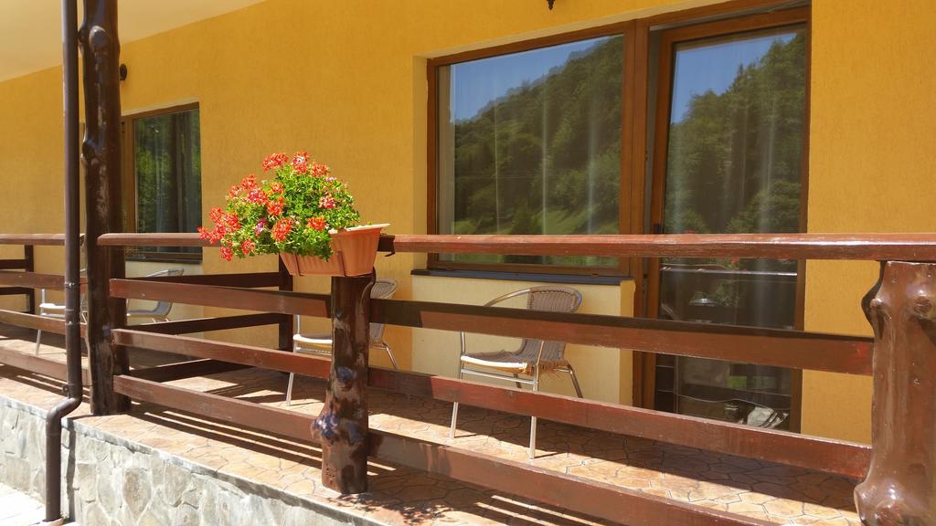 Pension Curmatura Stezii Rasinari Exterior photo
