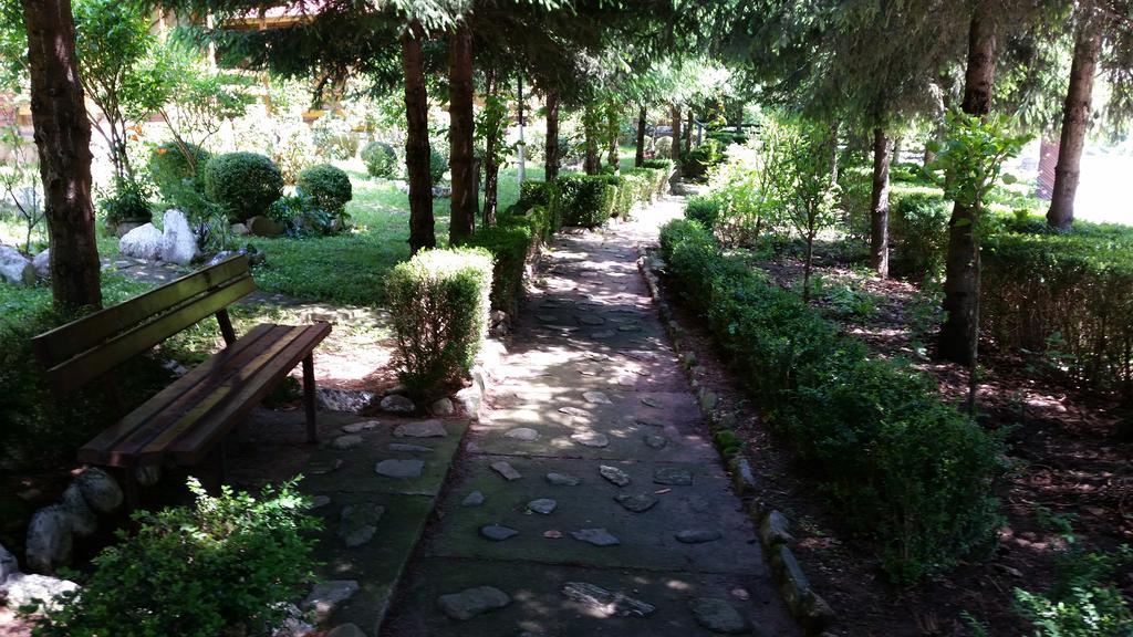 Pension Curmatura Stezii Rasinari Exterior photo