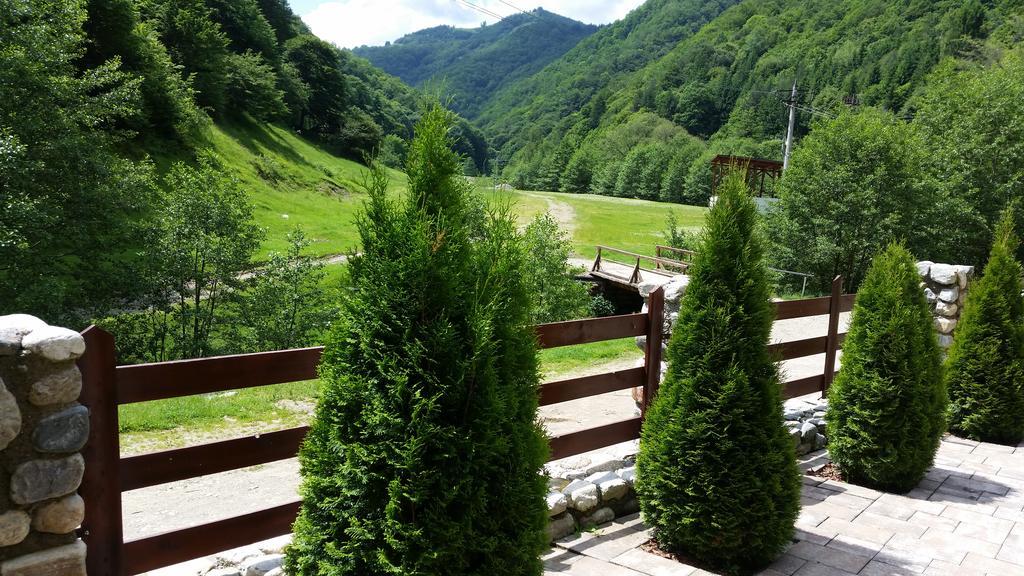 Pension Curmatura Stezii Rasinari Exterior photo